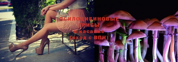 соль ск Аркадак